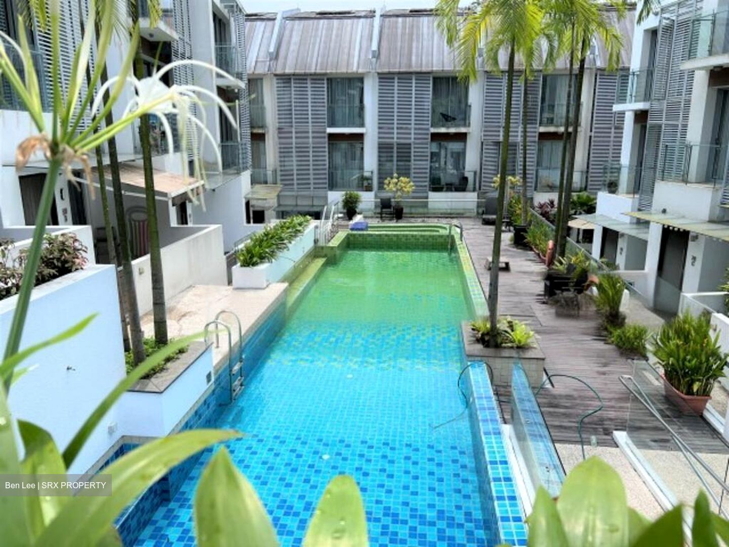 Radiance @ Bukit Timah (D21), Terrace #485923341